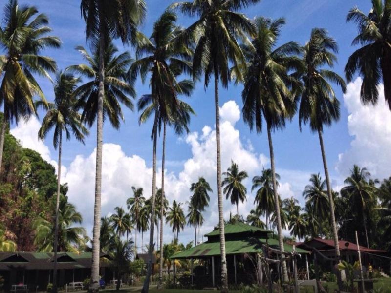 Fishing Bay Resort Mersing Exterior photo